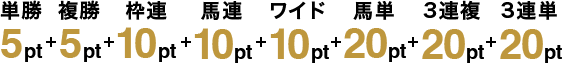 単勝 5pt + 複勝 5pt + 枠連 10pt + 馬連 10pt + ワイド 10pt + 馬単 20pt + 3連複 20pt + 3連単 20pt